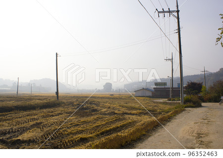 稻田 稻田 96352463