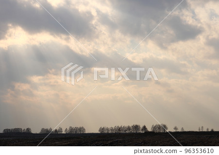 Hokkaido, Tokachi region, rural scenery with windbreak forests Hokkaido, Tokachi region, rural scenery with windbreak forests 96353610