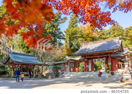 Shiogama Shrine Shiwahiko Shrine Autumn leaves Shiogama Shrine Shiwahiko Shrine Autumn leaves 96354785