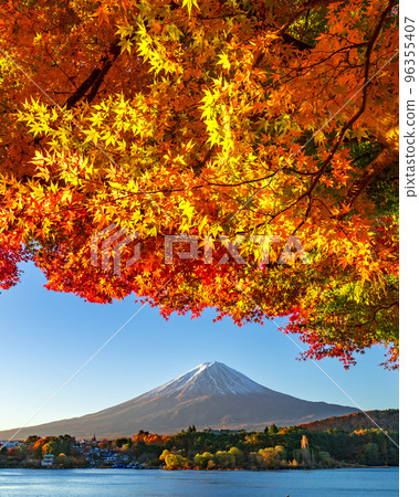 Autumn leaves and Mt.Fuji from Lake Kawaguchi 96355407