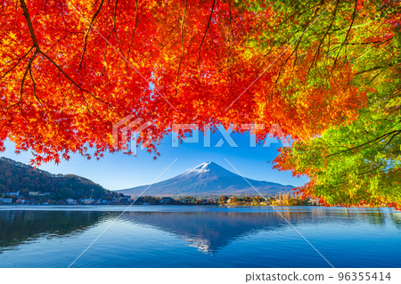 倒立的富士山和秋天河口湖的紅葉 96355414