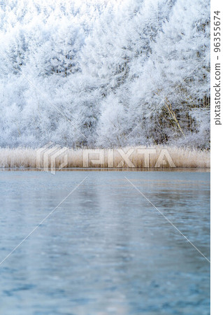 [Material of hoarfrost] Hijiri Kogen hoarfrost [Nagano Prefecture] 96355674