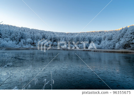 [Material of hoarfrost] Hijiri Kogen hoarfrost [Nagano Prefecture] 96355675