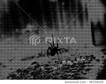 Creepy abstract black silhouette of a spider on a black and gray background 96356036