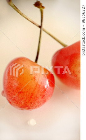 Close-up of ripe cherries selectively stand out against a light background 96356227