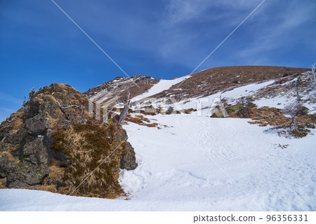 冬季從群馬縣日光白根山森林邊緣眺望西南坡 冬季從群馬縣日光白根山森林邊緣眺望西南坡 96356331