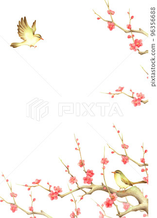 Background of Japanese nightingale perched on a branch of red plum and Japanese nightingale flapping vertical hand-drawn colored pencil drawing 96356688
