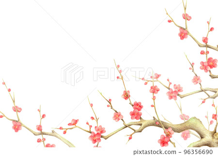 紅色梅花背景水平手繪彩色鉛筆劃 96356690