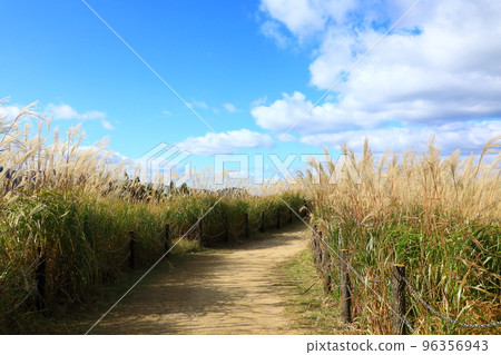 Soni Highland Susukino Susukino 96356943
