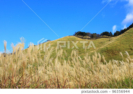 Soni Highland Susukino Susukino 96356944