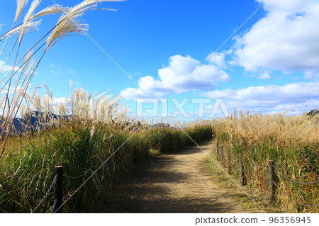 Soni Highland Susukino 薄野 96356945