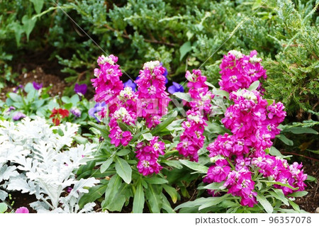 Hill park with a view of the harbor Hill park with a view of the harbor 96357078