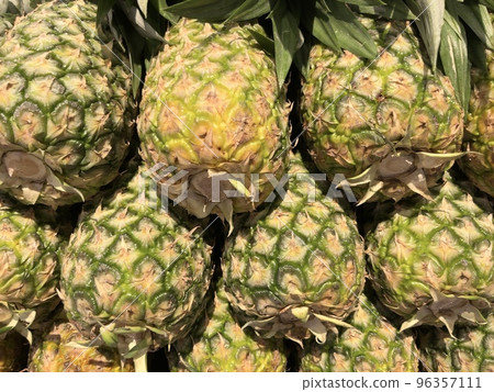 pineapple pineapple 96357111