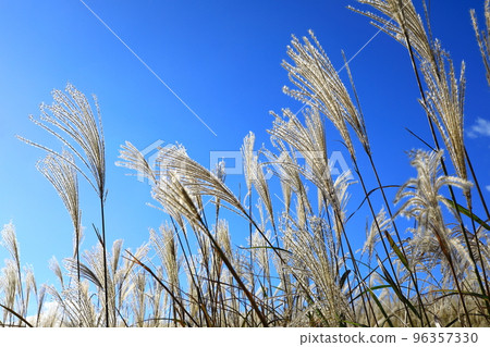 Soni Highland Susukino Susukino 96357330