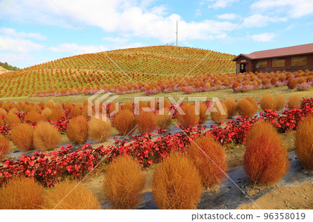 Biwako Hakodateyama [Takashima City, Shiga Prefecture] 96358019