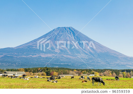 "Shizuoka Prefecture" Asagiri Plateau 96359359