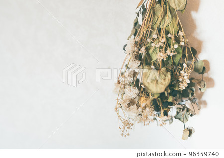 Dried flower  96359740