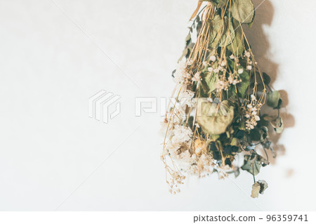 Dried flower Dried flower 96359741