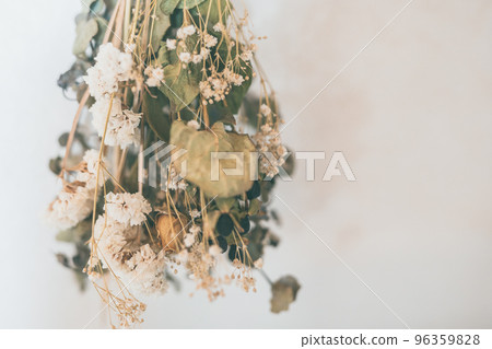 Dried flower  96359828