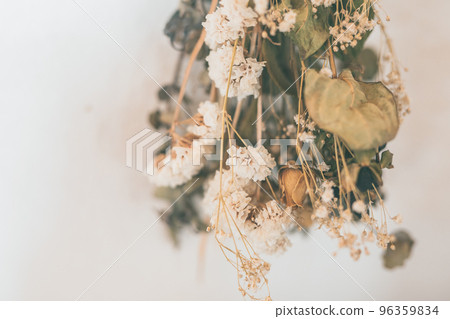 Dried flower  96359834