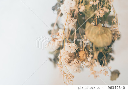 Dried flower  96359840