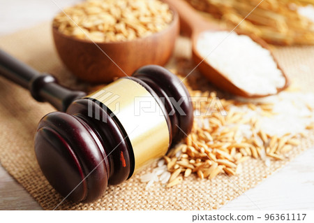 Judge gavel hammer with good grain rice from agriculture farm. Law and justice court concept. 96361117