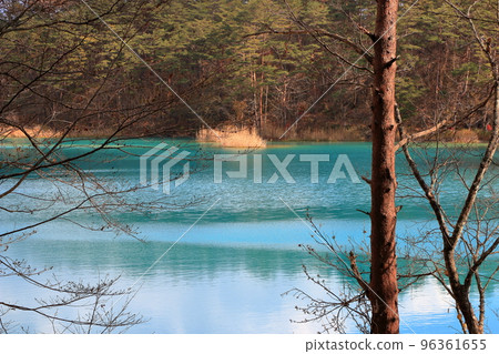 The mysterious Goshikinuma Ponds in Urabandai Fukushima, in Northern Japan, with their many changing colors.  96361655
