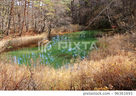 The mysterious Goshikinuma Ponds in Urabandai Fukushima, in Northern Japan, with their many changing colors. The mysterious Goshikinuma Ponds in Urabandai Fukushima, in Northern Japan, with their many changing colors. 96361691