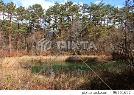 The mysterious Goshikinuma Ponds in Urabandai Fukushima, in Northern Japan, with their many changing colors. The mysterious Goshikinuma Ponds in Urabandai Fukushima, in Northern Japan, with their many changing colors. 96361692