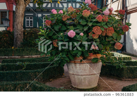Traditional German Houses with nice garden in fall. Flowers in the City Park of Bietigheim-Bissingen, Baden-Wuerttemberg, Germany, Europe. Autumn Park and house, nobody, bush and grenery 96361883