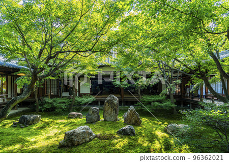 [京都府]建仁寺北條庭園春庭庭園 96362021