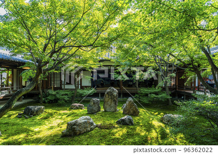 [京都府]建仁寺北條庭園春庭庭園 96362022