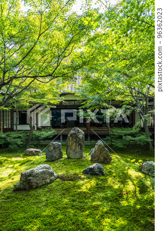 [京都府]建仁寺北條庭園春庭庭園 96362023
