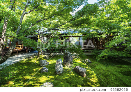 [京都府]建仁寺北條庭園春庭庭園 96362036