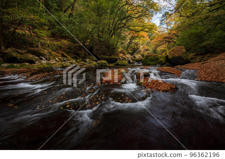 Beautiful scenery of the Kikuchi Gorge with beautiful autumn colors in autumn Beautiful scenery of the Kikuchi Gorge with beautiful autumn colors in autumn 96362196