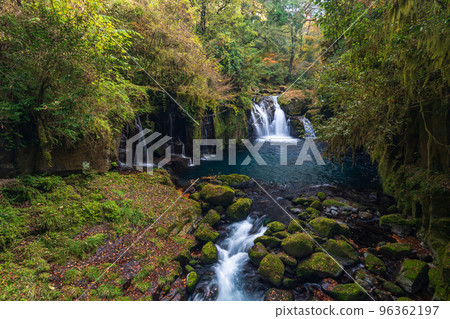 Beautiful scenery of the Kikuchi Gorge with beautiful autumn colors in autumn 96362197