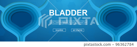 Bladder paper cut symbol for promotion banner. Horizontal paper cut illustration. Organ anatomy design template illustration concept. 96362784