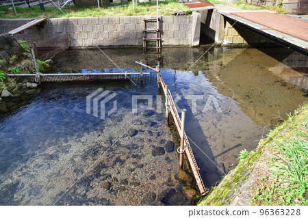 salmon hatchery 96363228
