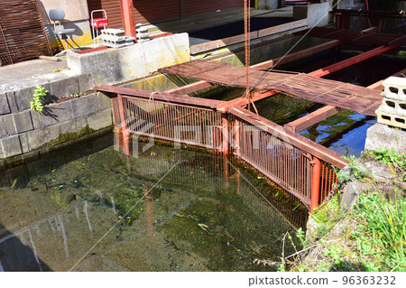 salmon hatchery 96363232