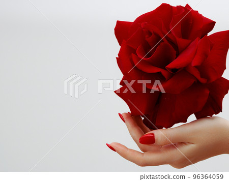 Closeup of hands of a young woman with red Closeup of hands of a young woman with red 96364059