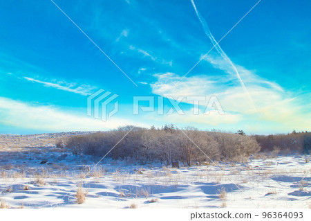 Fuyuki Standing Fuyuki Standing 96364093