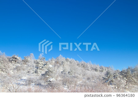 snow covered trees snow covered trees 96364180