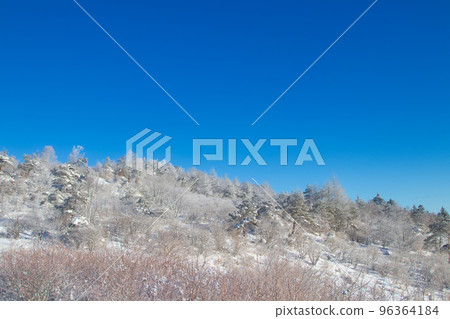 White Forest White Forest 96364184