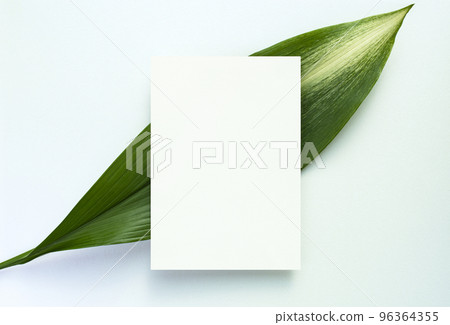 Green leaves and card mock-up 96364355