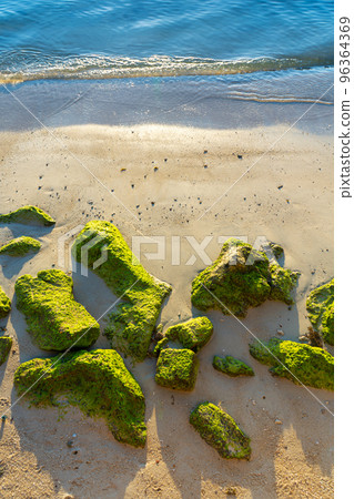 Large stones overgrown with green algae on a sandy beach near the ocean. The nature of the tropics. 96364369