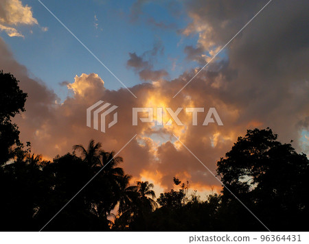 Evening sky in the tropics with silhouettes of palm trees and rays of sunset 96364431