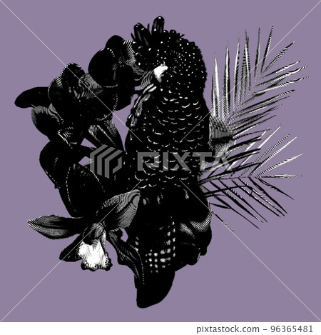Graphic Bird of Paradise. Tropical bouquet. black cockatoos, palm leaves, cymbidium and orchids. realistic illustration. Graphic Bird of Paradise. Tropical bouquet. black cockatoos, palm leaves, cymbidium and orchids. realistic illustration. 96365481