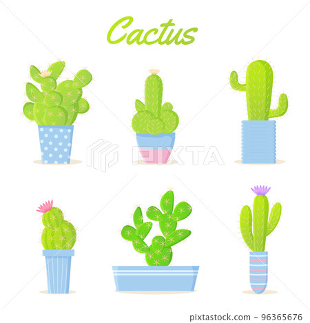 Bright cartoon summer cactus set. Exotic houseplants in color pots 96365676