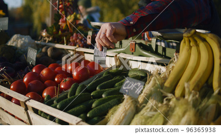 Farmer lays out vegetables or fruits Farmer lays out vegetables or fruits 96365938