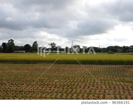 Scenery of Sakae Town Scenery of Sakae Town 96366191